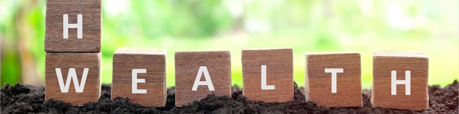 Annick Scholliers - voluit keto - quote aanbod gezonde leefstijl health is wealth