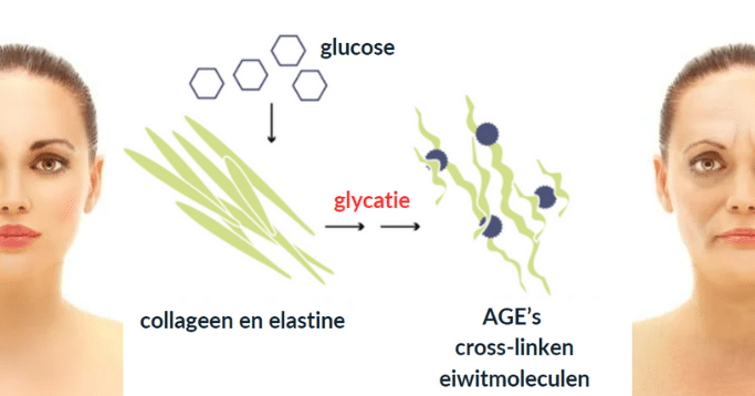 Annick Scholliers - Voluit Keto - Glycatie 4