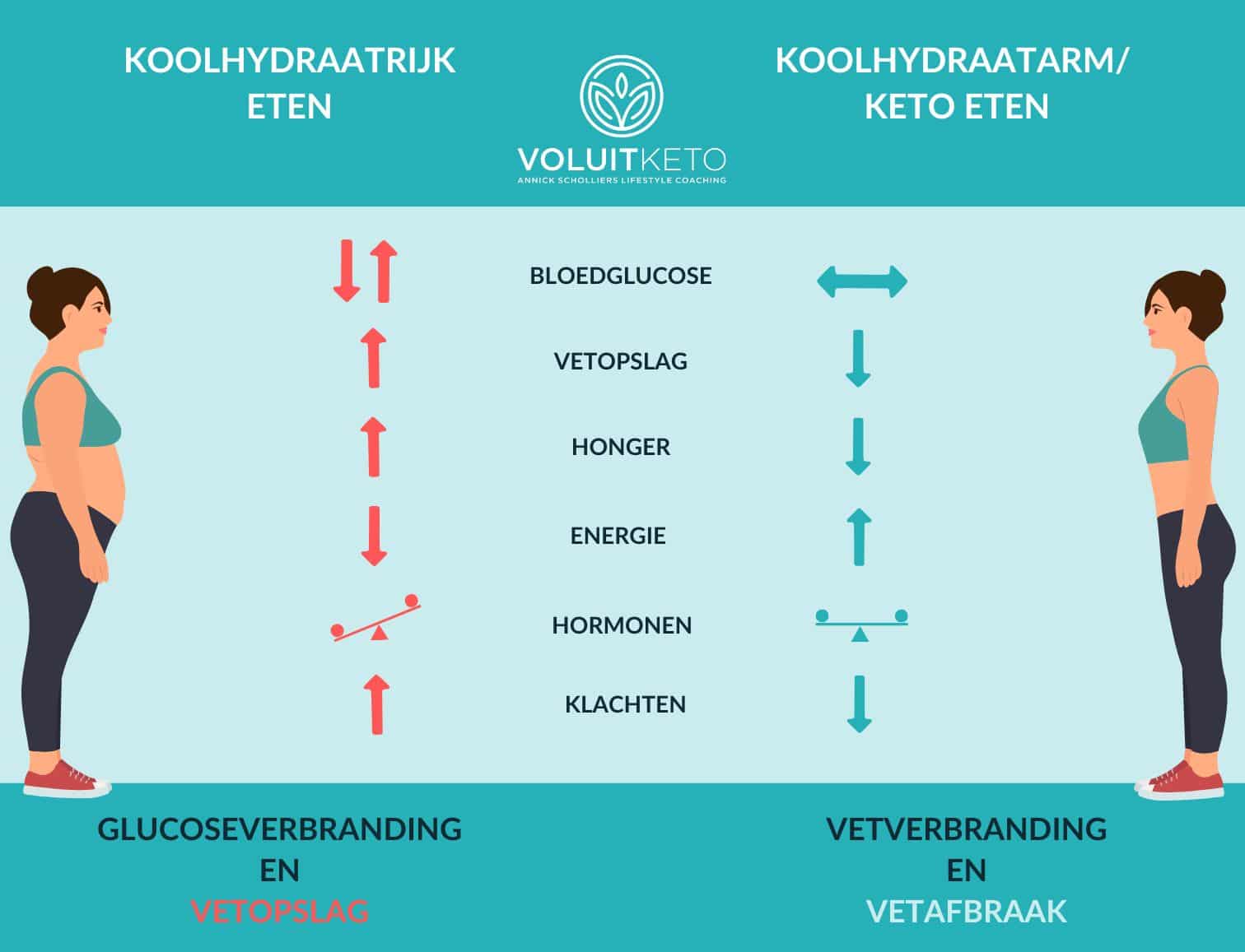 schema dat het verschil laat zien tussen de gevolgen van een koolhydraatrijke leefstijl en een keto leefstijl