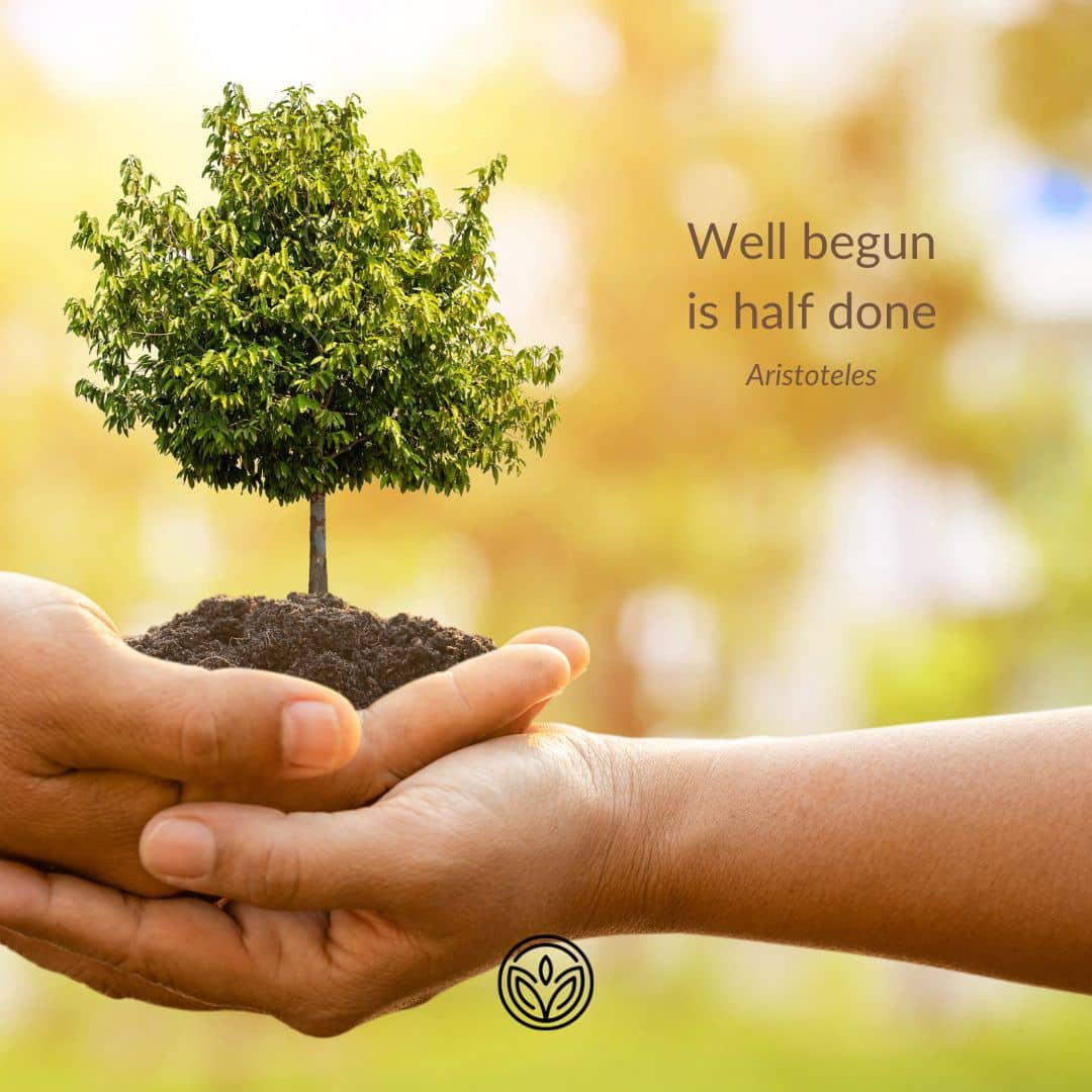 2 paar handen die samen een nieuw groeiend plantje vasthouden en beschermen